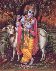 Krishna